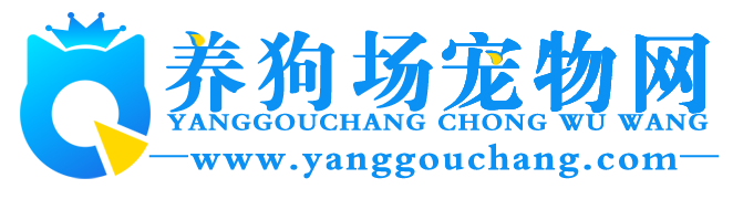 养狗场的宠物网